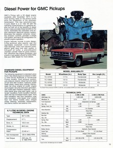 1978 GMC Pickups (Cdn)-13.jpg